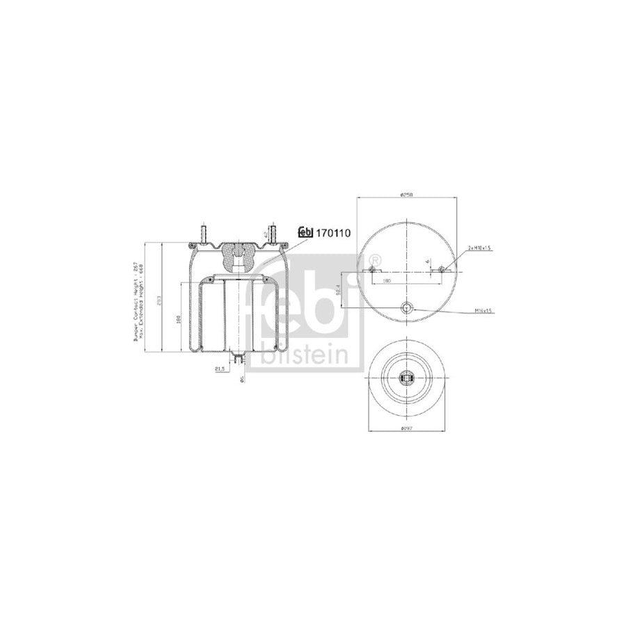 Febi Bilstein 170110 Boot, Air Suspension