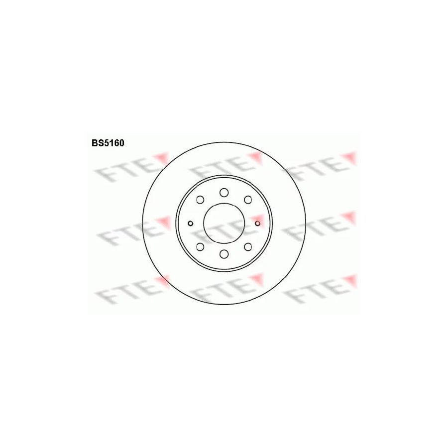 Fte BS5160 Brake Disc For Mitsubishi Galant | ML Performance UK Car Parts