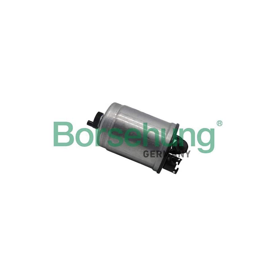 Borsehung B10471 Fuel Filter