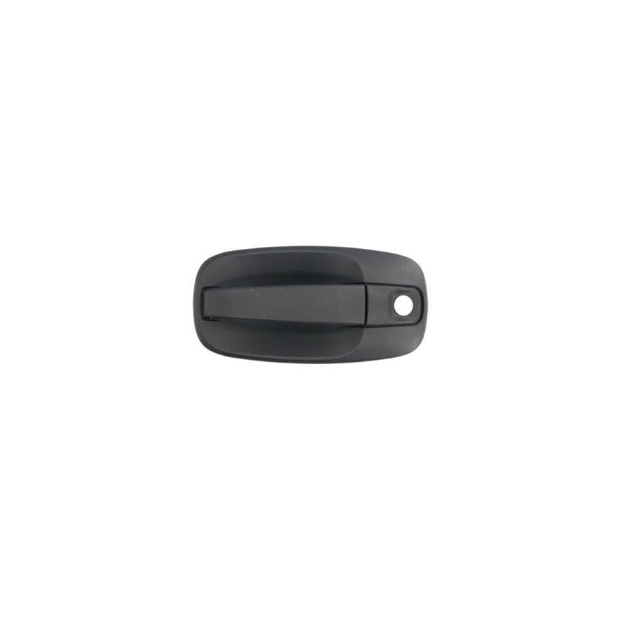 Blic 6010-09-041401P Door Handle