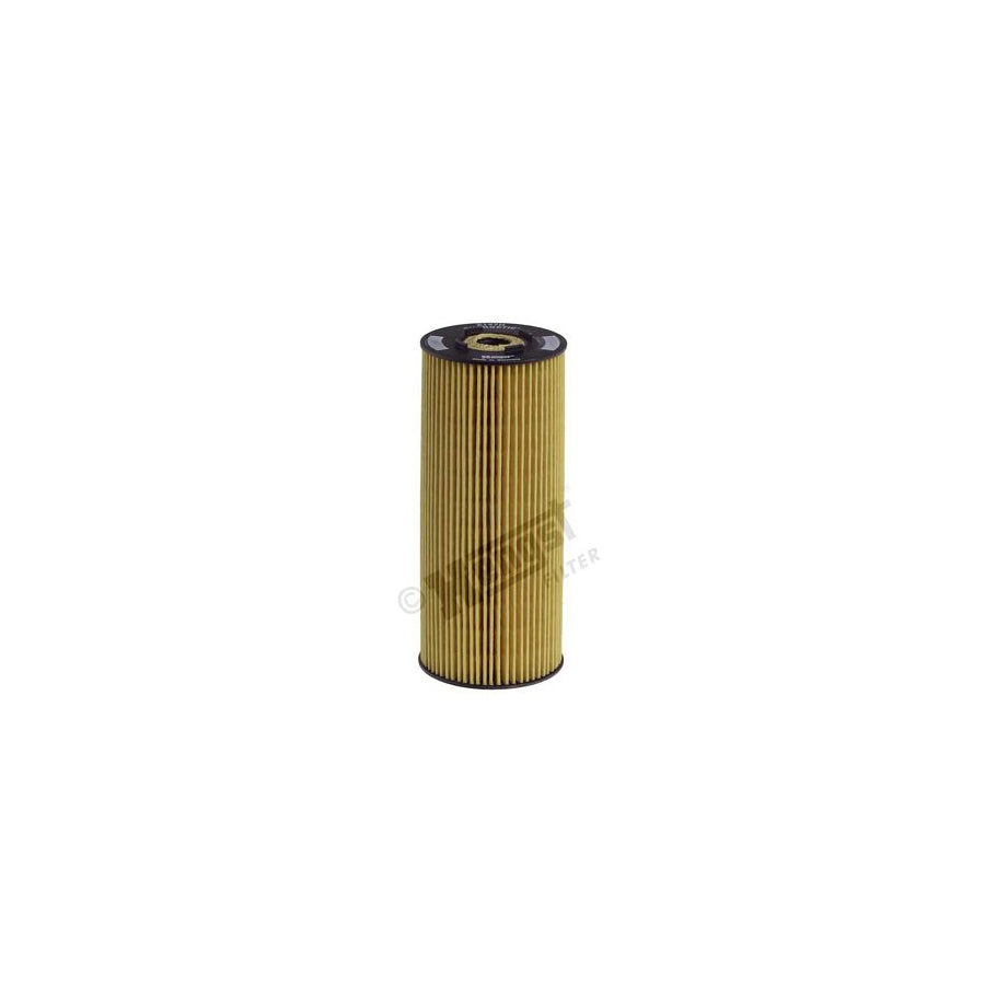 Hengst Filter E197H D31 Oil Filter