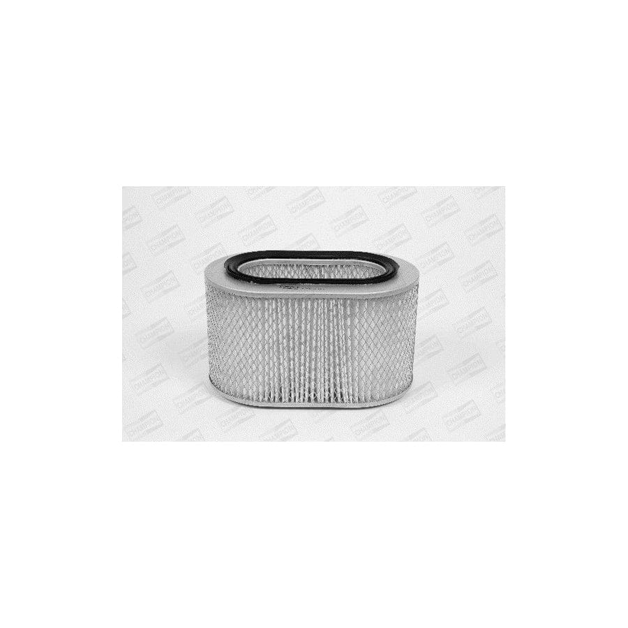 Champion V419/606 Air Filter