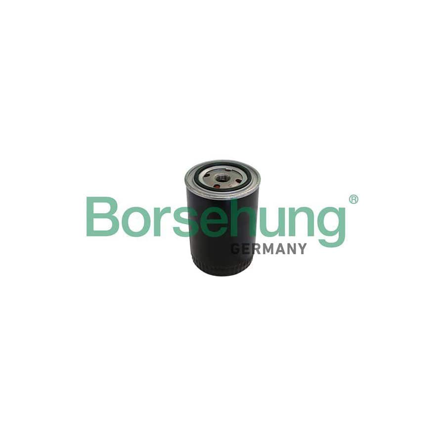 Borsehung B10431 Oil Filter