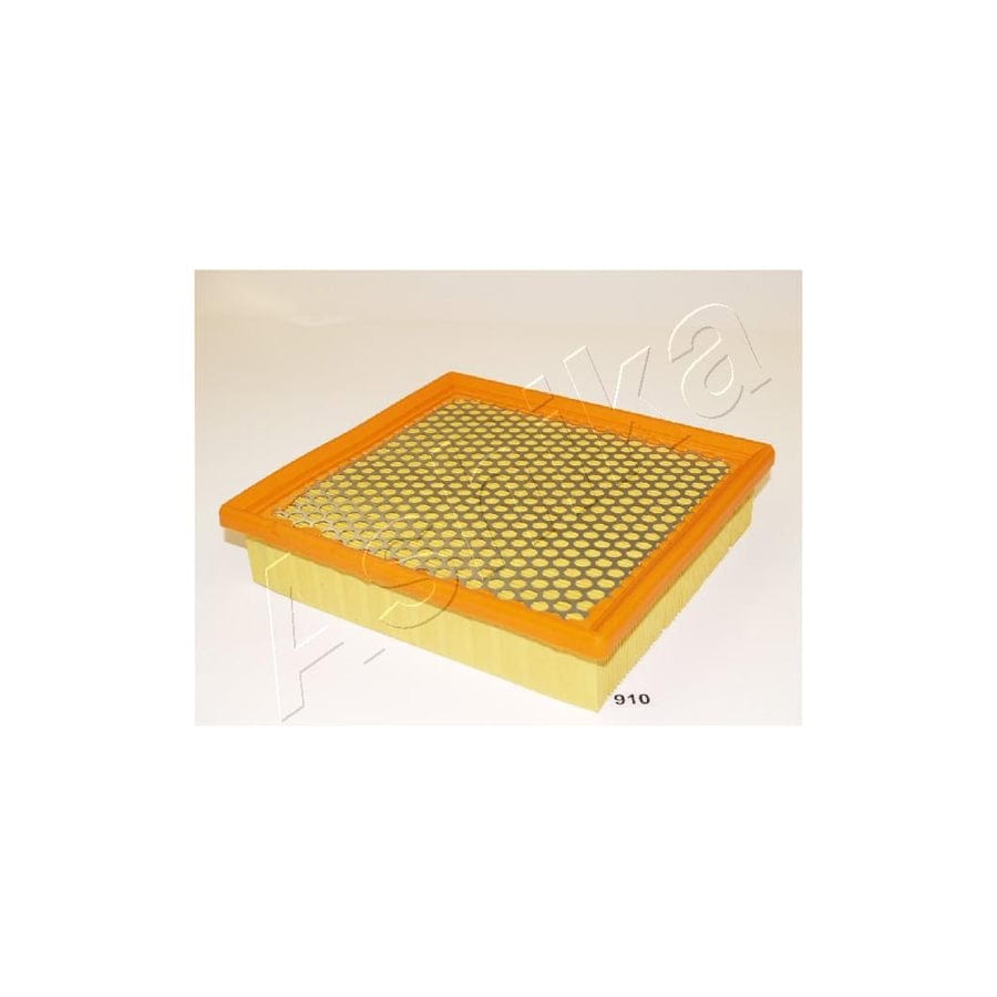 ASHIKA 20-09-910 Air Filter | ML Performance UK Car Parts