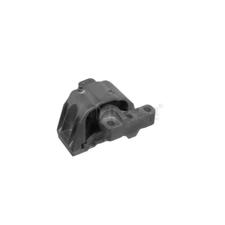 Meyle 100 199 0041 Engine Mount