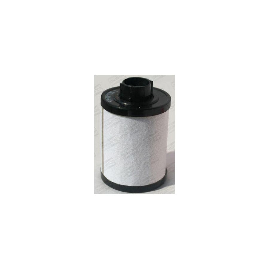 Champion L409/606 Fuel Filter