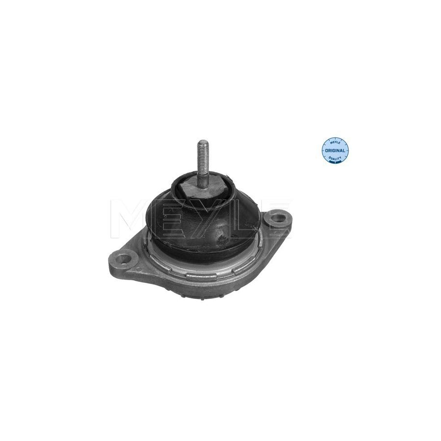 Meyle 100 199 0049 Engine Mount