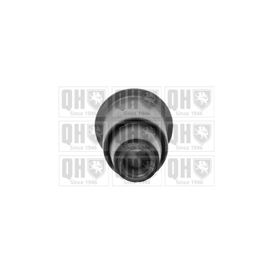 Quinton Hazell EMS8328 Control Arm / Trailing Arm Bush For Renault Espace I (J11) | ML Performance UK Car Parts