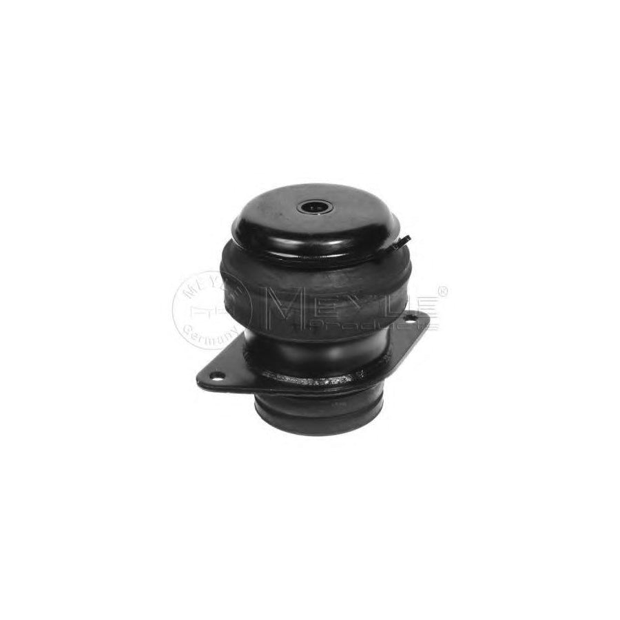 Meyle 100 199 0057 Engine Mount For VW Passat