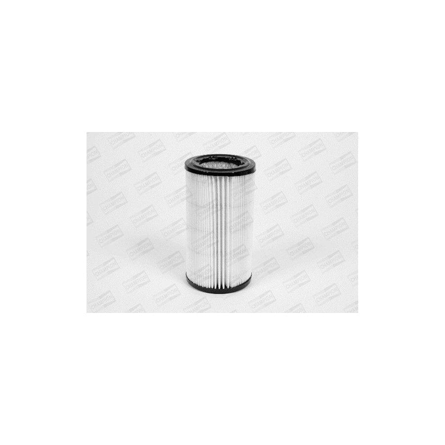 Champion V442/606 Air Filter