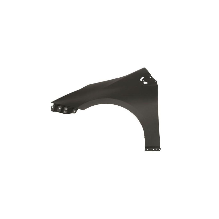 Blic 6504-04-8189311P Wing Fender