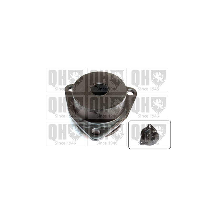 Quinton Hazell Em1696 Axle Bush | ML Performance UK Car Parts