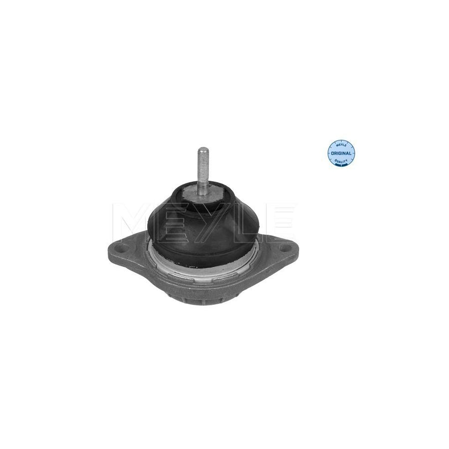 Meyle 100 199 0051 Engine Mount