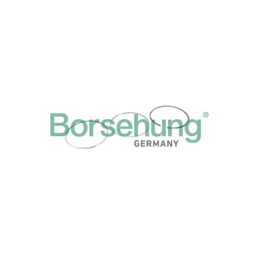 Borsehung B10364 Piston Ring Kit