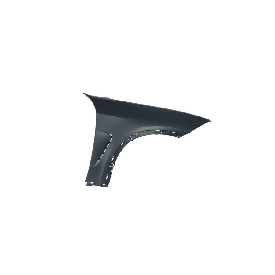 Blic 6504-04-0096320P Wing Fender For BMW X5 (F15, F85)