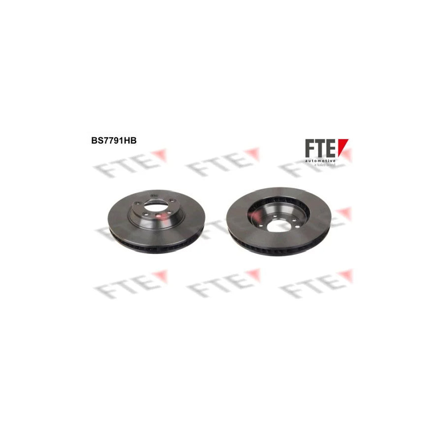 Fte 9081012 Brake Disc | ML Performance UK Car Parts