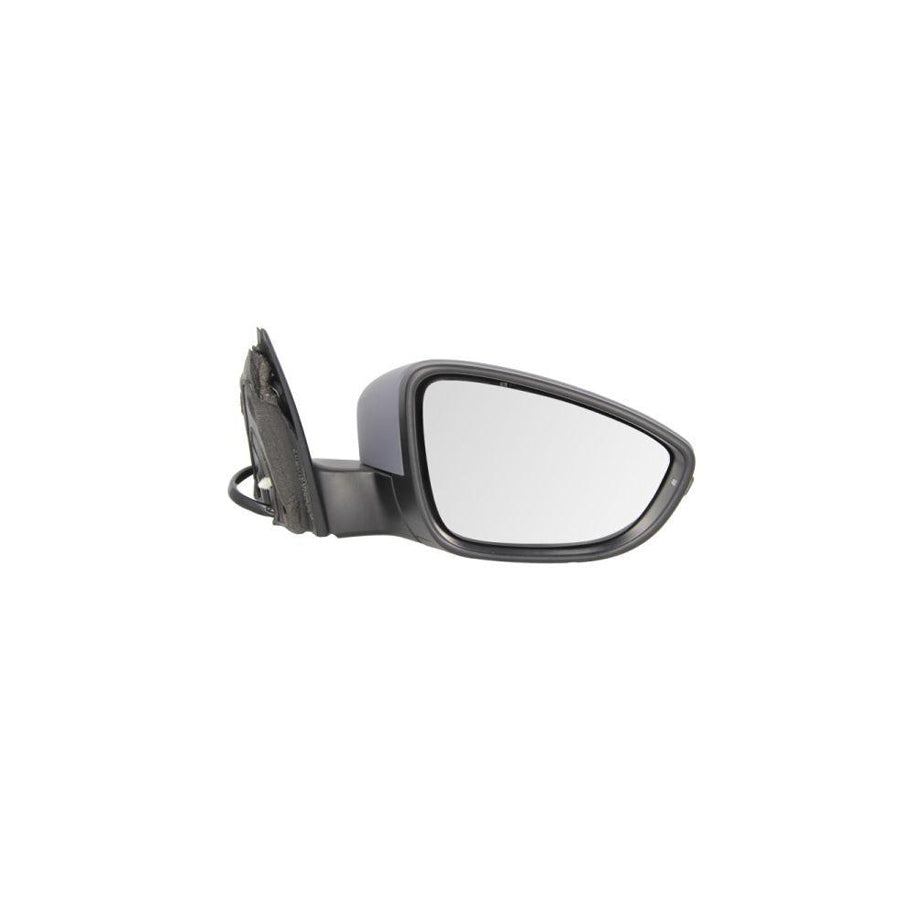 Blic 5402-01-2002674P Wing Mirror For VW Passat