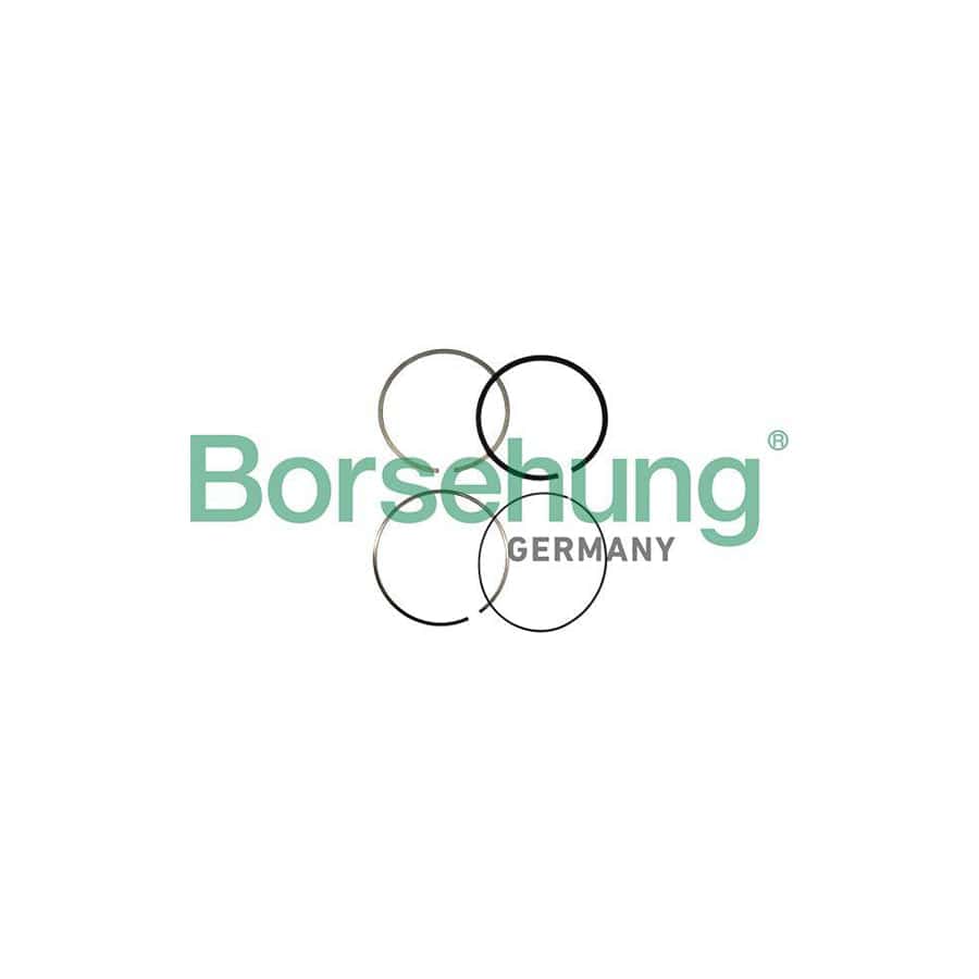 Borsehung B10361 Piston Ring Kit