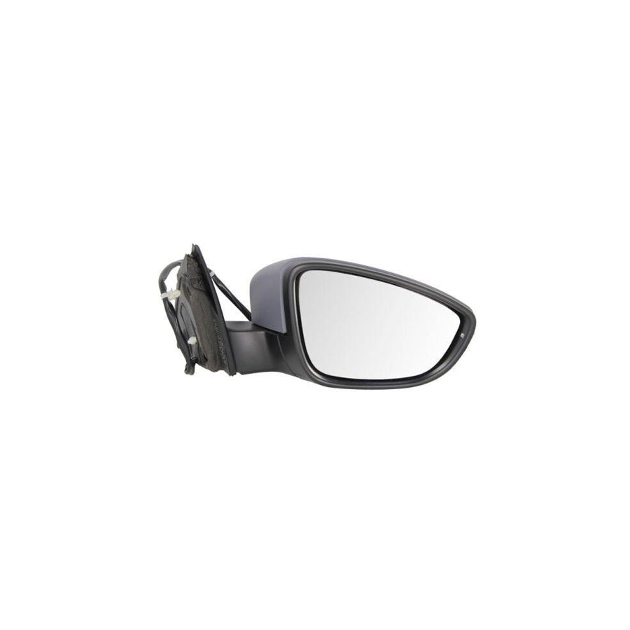 Blic 5402-01-2002672P Wing Mirror For VW Passat