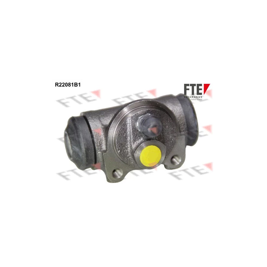 Fte R22081B1 Wheel Brake Cylinder | ML Performance UK Car Parts