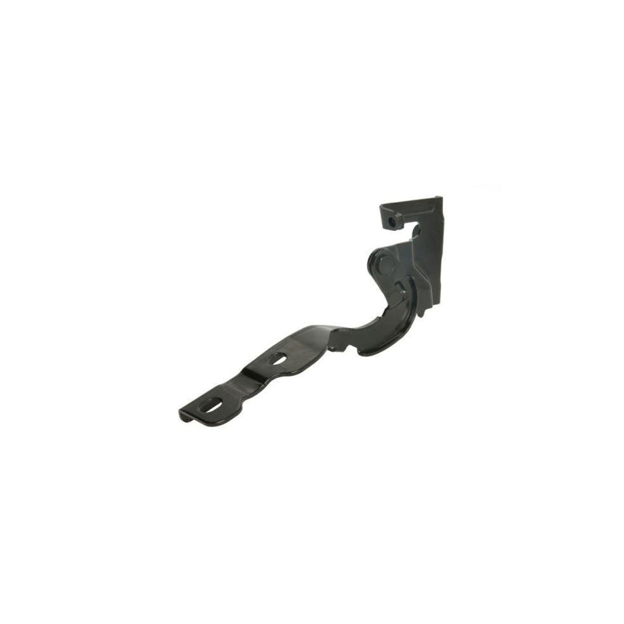 Blic 6802-00-3120452P Hinge, Bonnet For Hyundai I10 I (Pa)