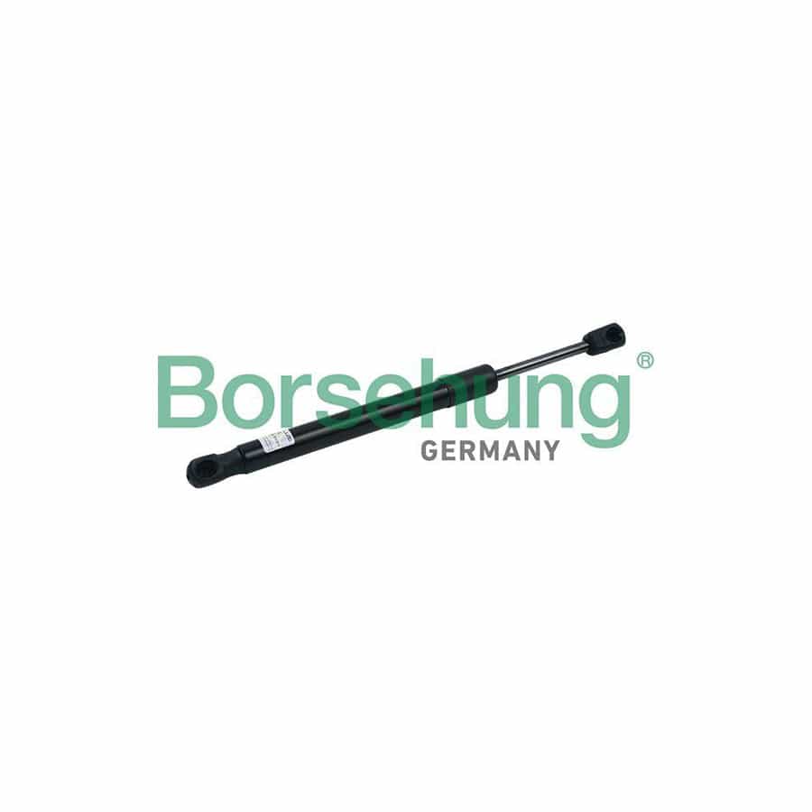 Borsehung B18442 Tailgate Strut