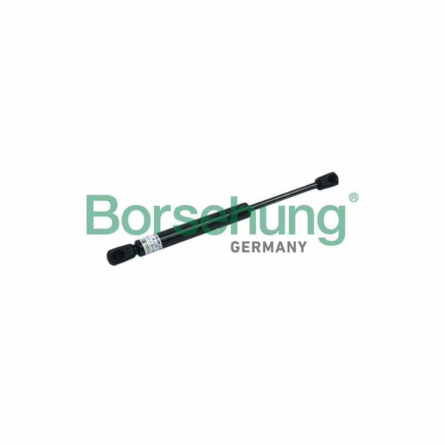 Borsehung B18441 Tailgate Strut For Audi A6