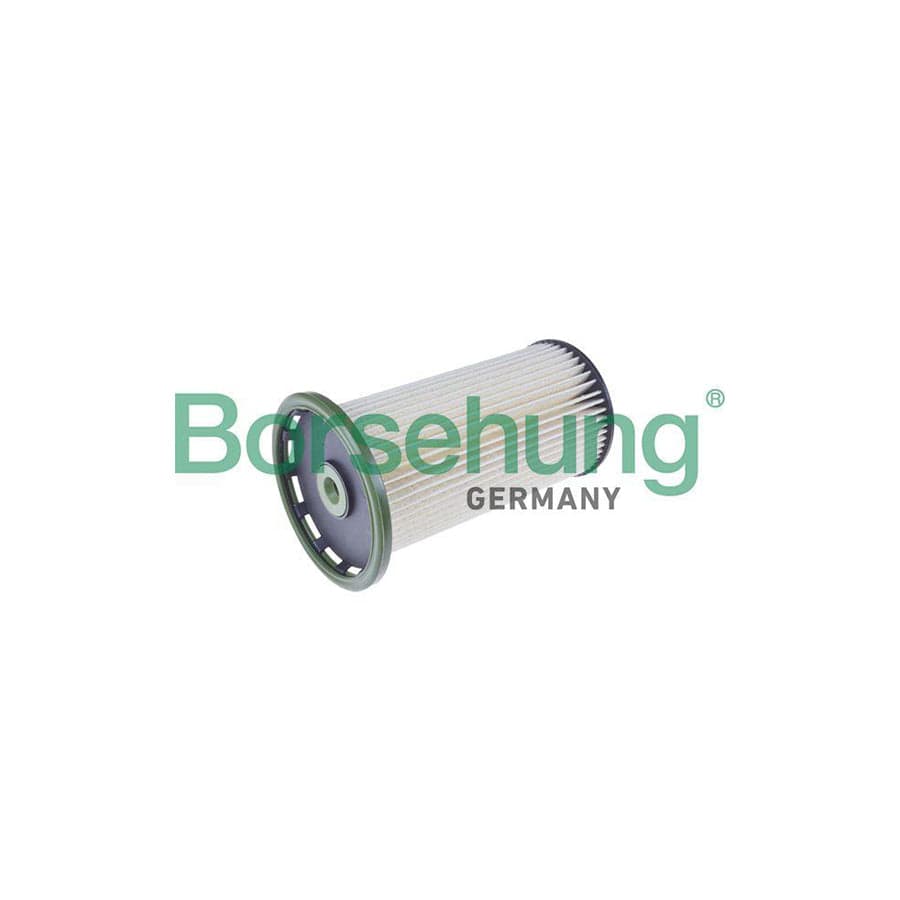 Borsehung B10523 Fuel Filter