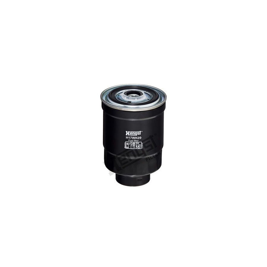 Hengst Filter H17WK09 Fuel Filter