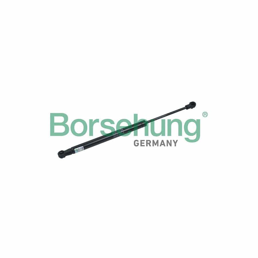 Borsehung B18439 Tailgate Strut For Audi A4 B8 Saloon (8K2)