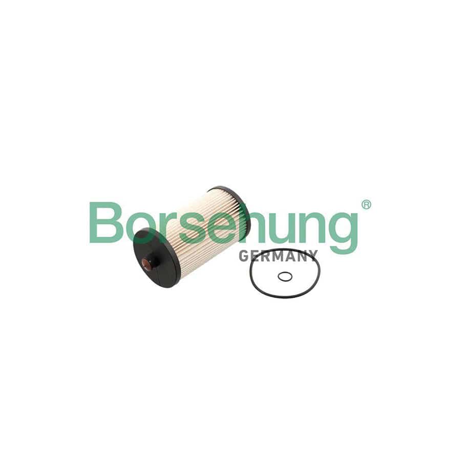 Borsehung B10522 Fuel Filter