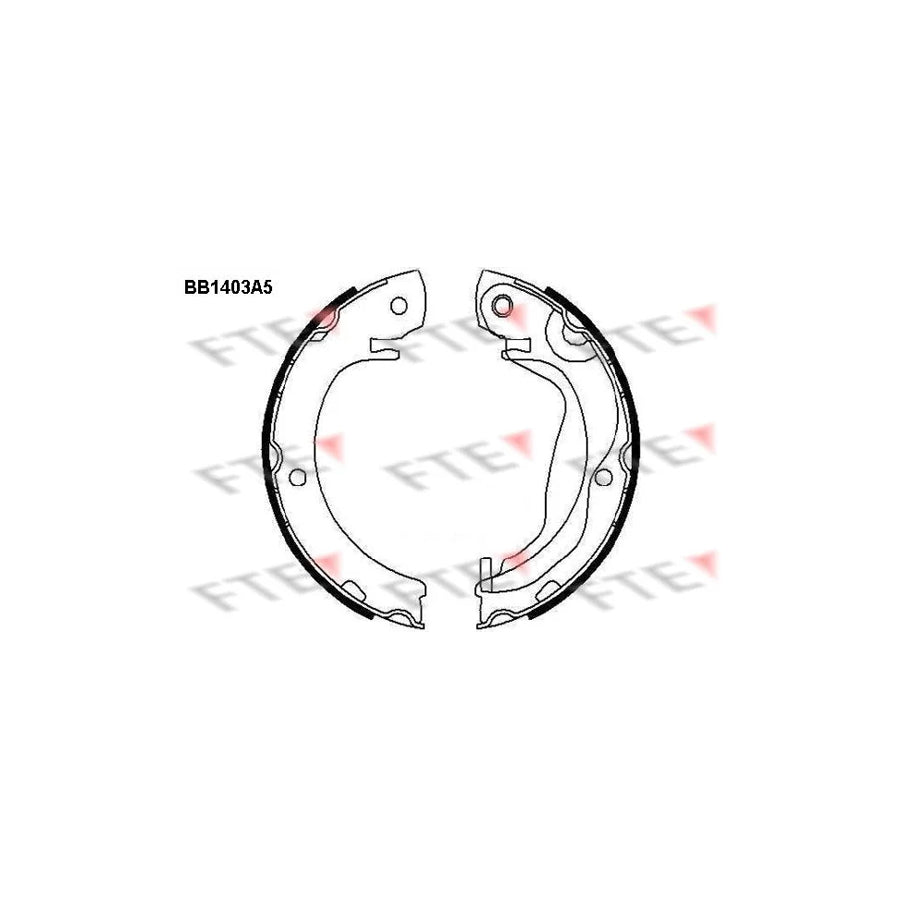 Fte 9100137 Handbrake Shoes | ML Performance UK Car Parts