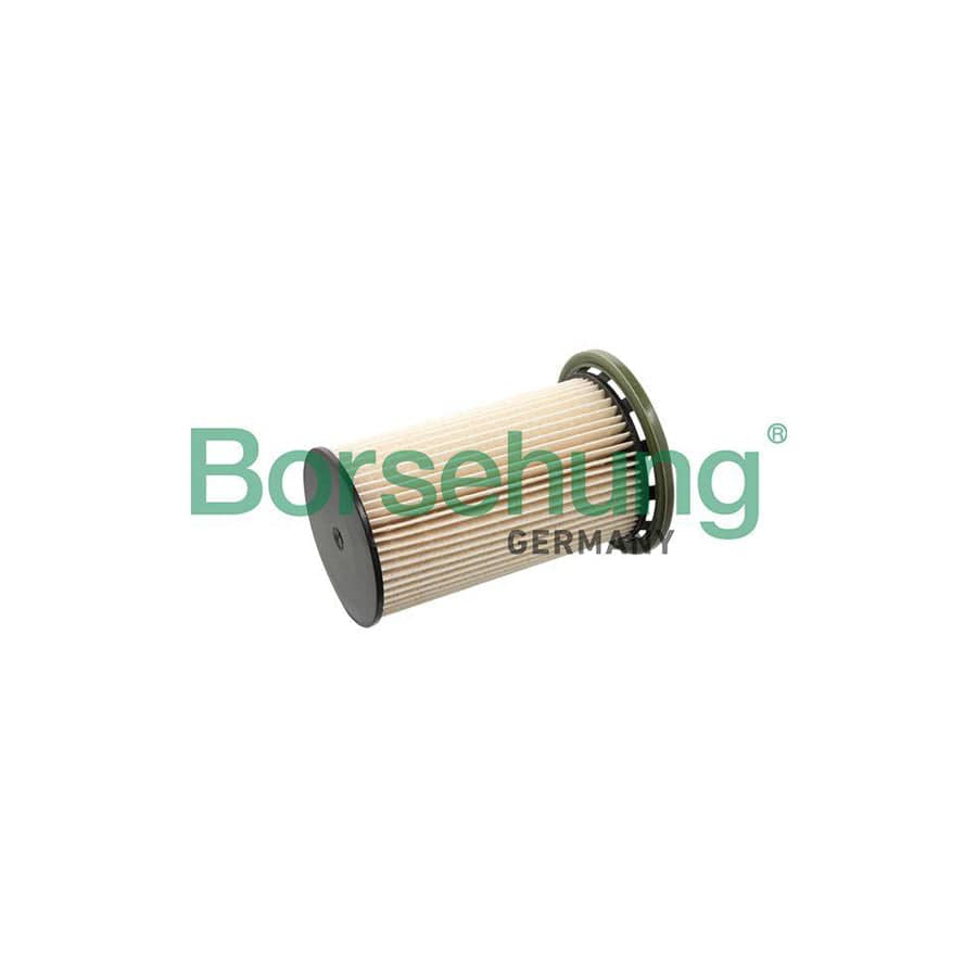 Borsehung B10521 Fuel Filter