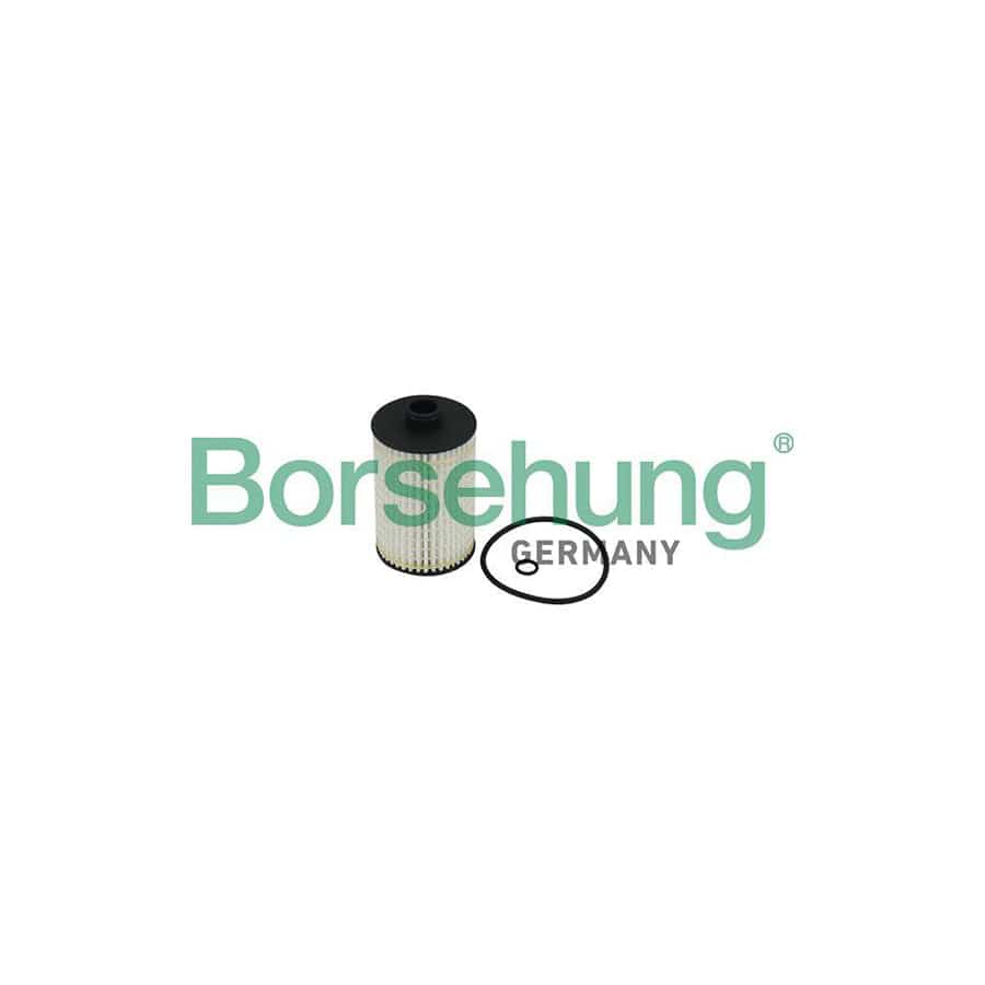 Borsehung B10519 Oil Filter