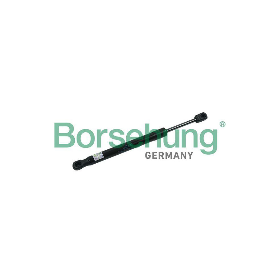 Borsehung B18438 Tailgate Strut