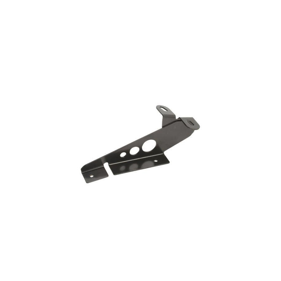 Blic 6802-00-2955452P Hinge, Bonnet