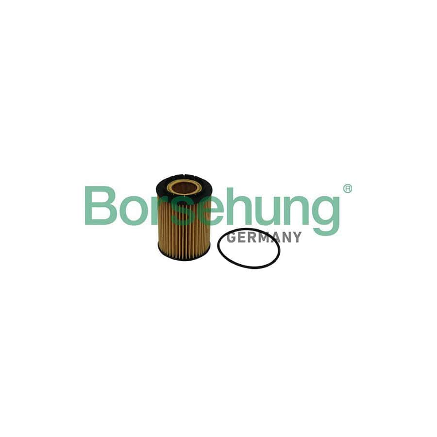 Borsehung B10516 Oil Filter