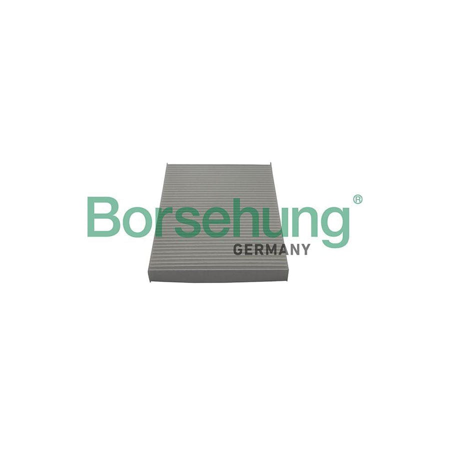 Borsehung B10515 Pollen Filter