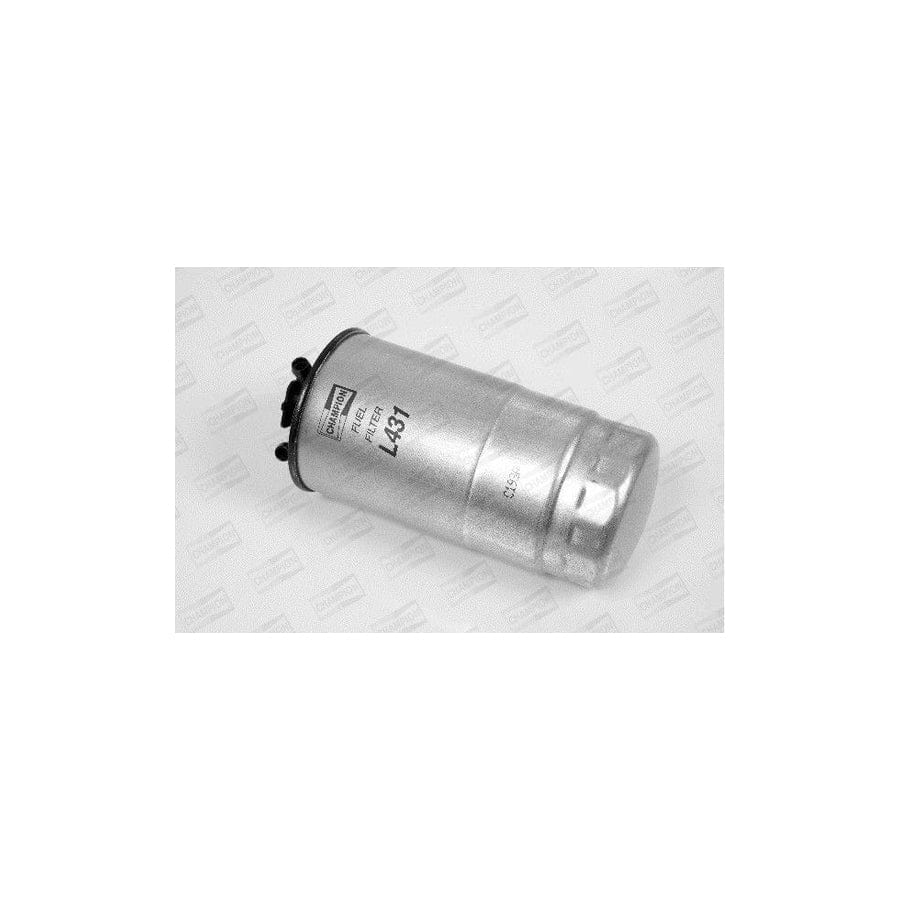 Champion L431/606 Fuel Filter