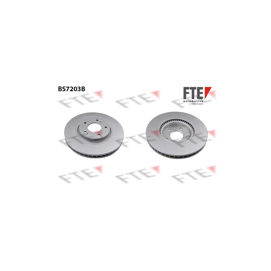 Fte 9081027 Brake Disc | ML Performance UK Car Parts