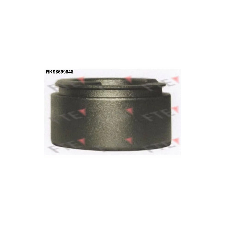 Fte RKS8699048 Piston, Brake Caliper | ML Performance UK Car Parts