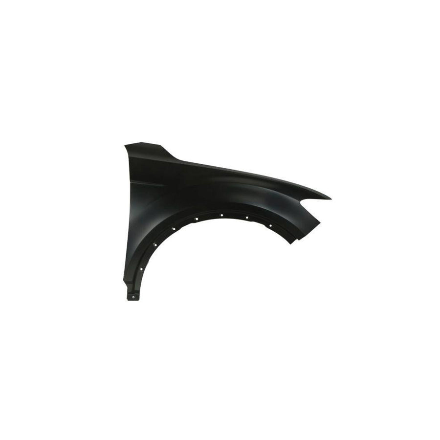 Blic 6504-04-0395312P Wing Fender For VW T-Roc (A11)