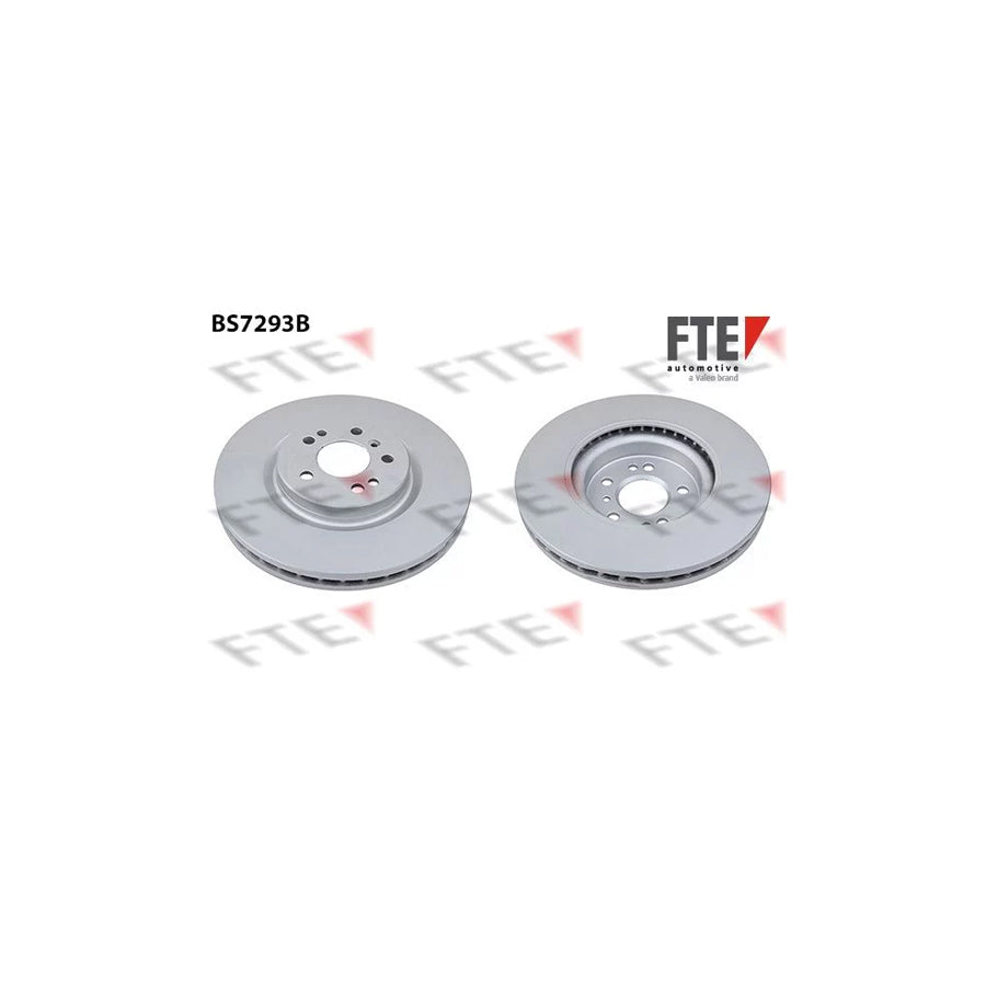 Fte 9081026 Brake Disc | ML Performance UK Car Parts