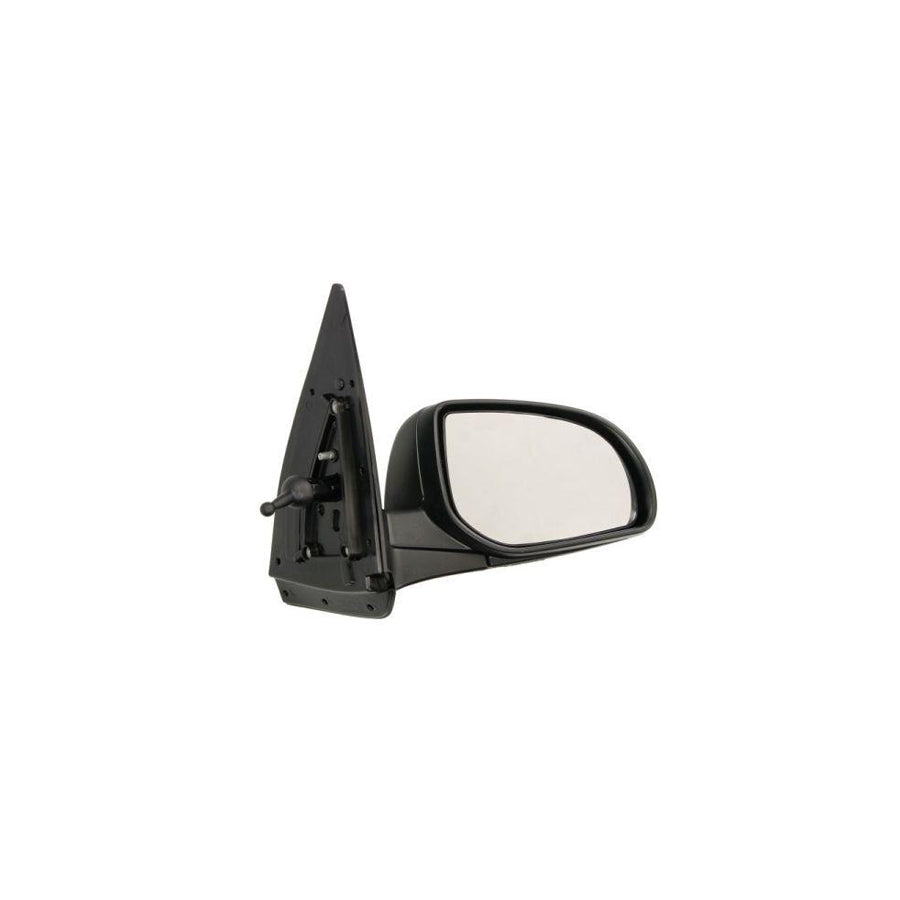 Blic 5402-20-2002850P Wing Mirror For Hyundai I10 I (Pa)