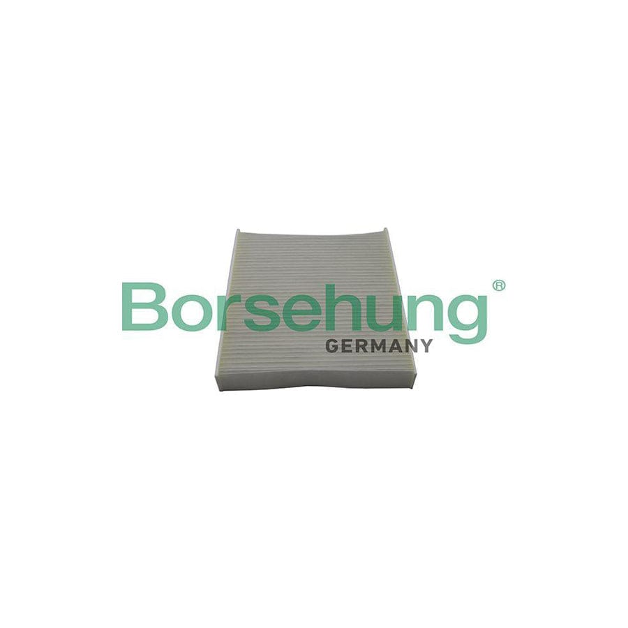 Borsehung B10514 Pollen Filter