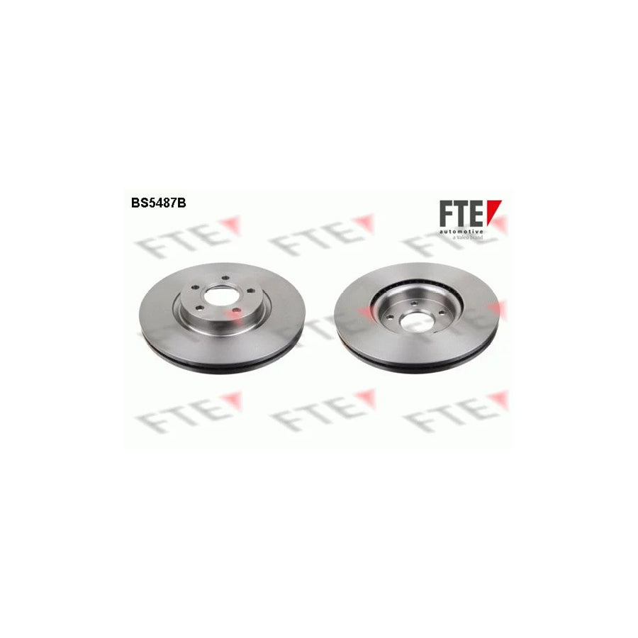 Fte 9081023 Brake Disc | ML Performance UK Car Parts