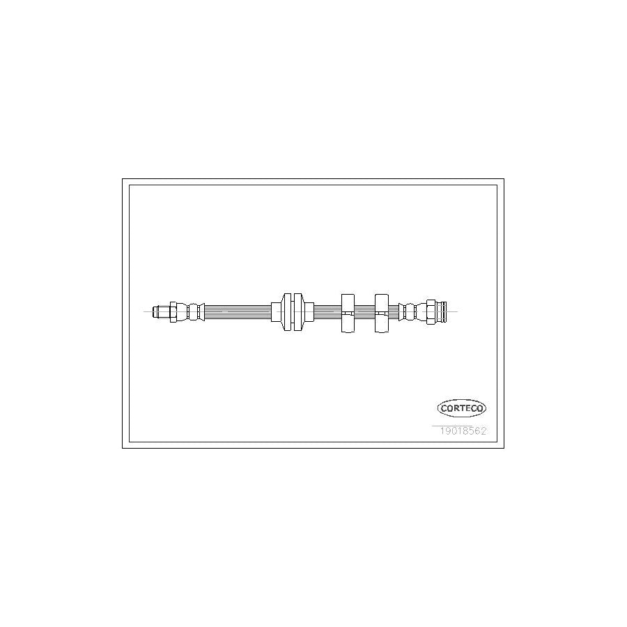 Corteco 19018562 Brake Hose | ML Performance UK