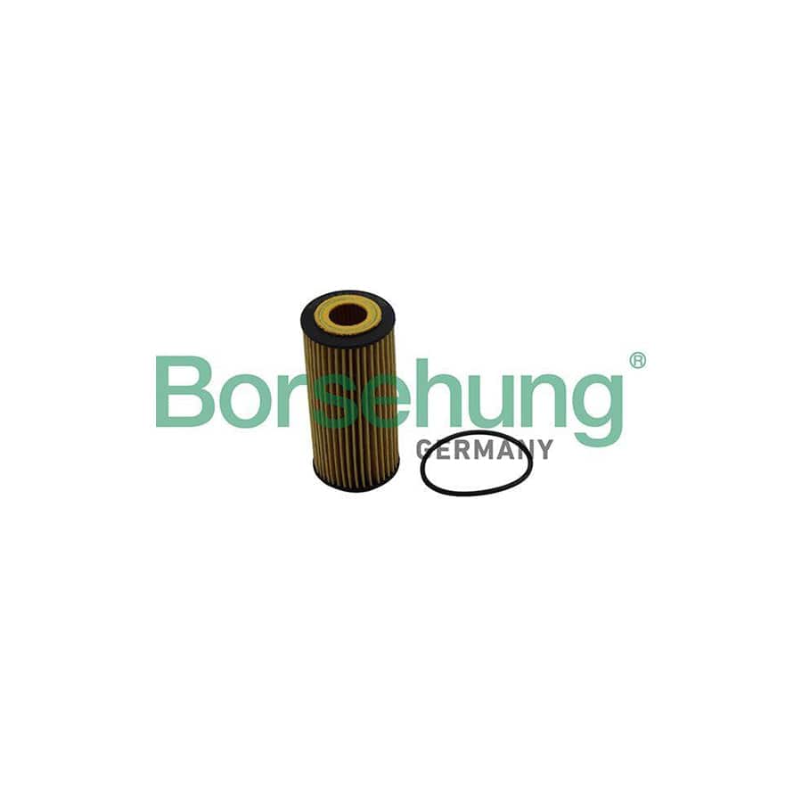 Borsehung B10511 Oil Filter