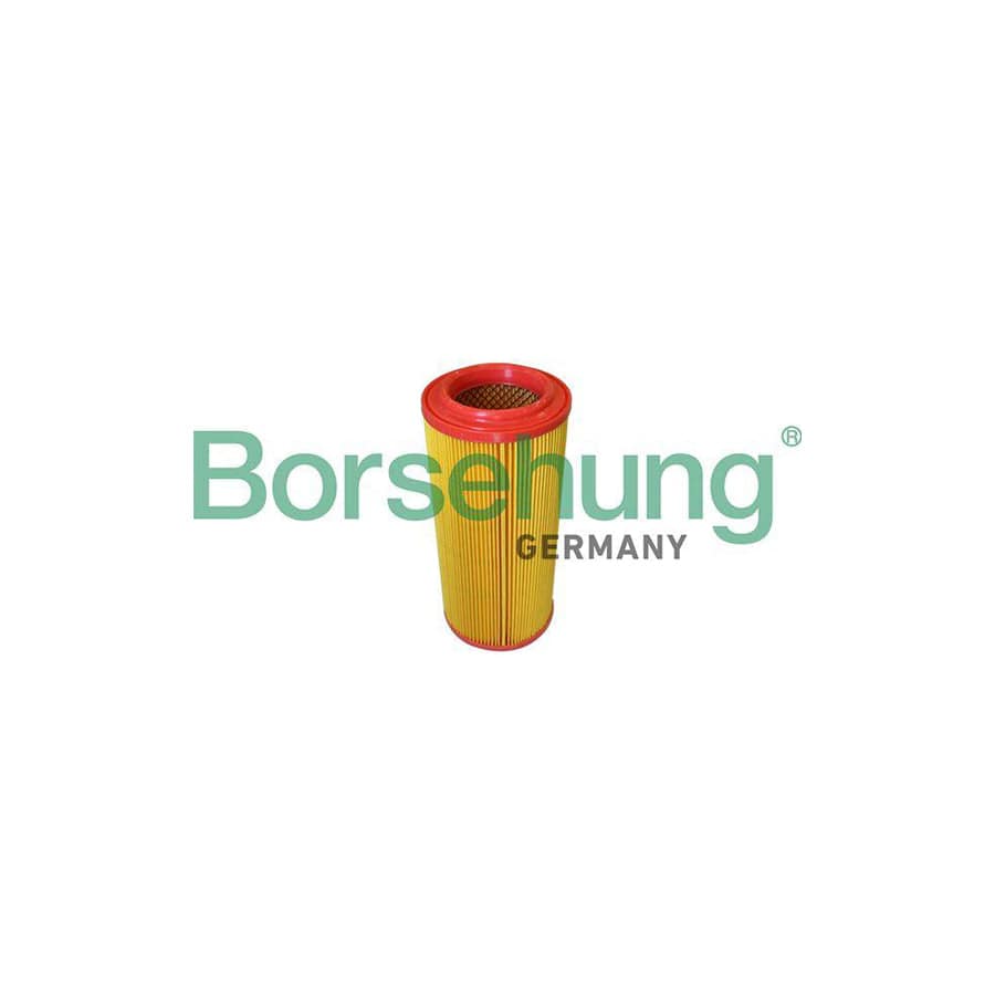 Borsehung B10546 Air Filter