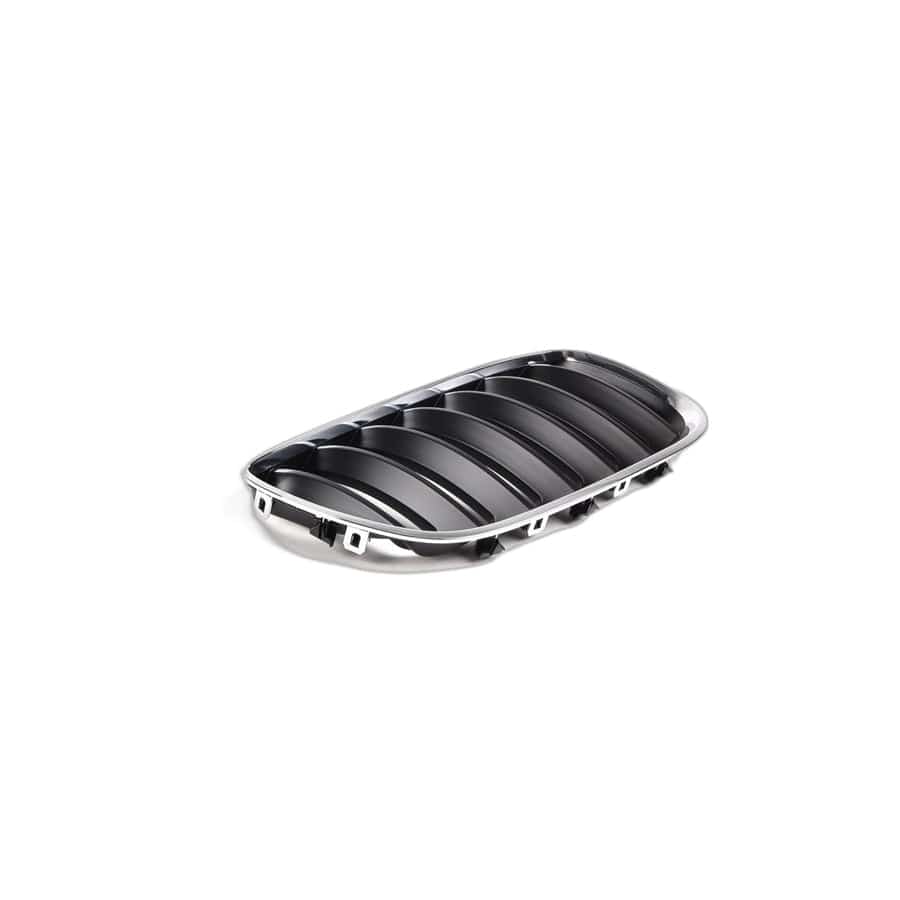 Genuine BMW 51137113734 E53 Grille, Front, Right (Inc. X5 3.0d & X5 3.0i) | ML Performance UK Car Parts